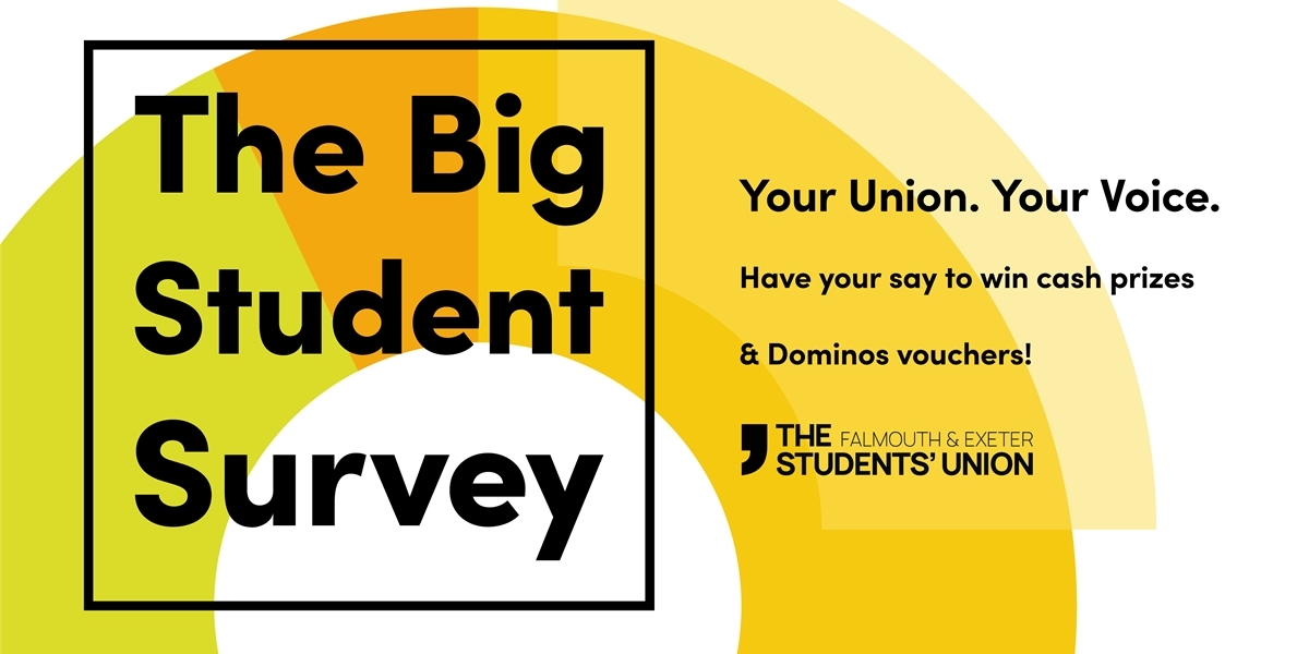 Graphic for The Big Student Survey.